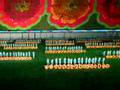 North Korea - Children's Parade - Arirang / Mass Games 2005