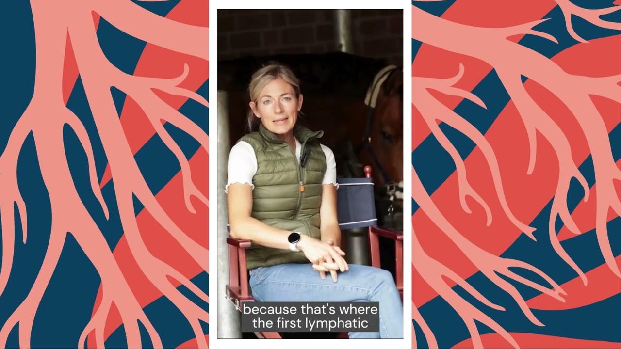 Why Compression Therapy for Horses Should Start at the Coronary Band
