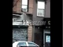 Cops in nude taser slay - brooklyn death plunge