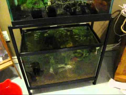 how to prevent aquarium leak