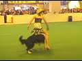 Crufts 03 Heelwork to Music