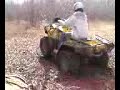 Big Tree Bogging Big Tree Bogging