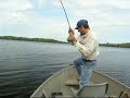 Northern Pike on a fly rod - Ely Minnesota Northern Pike on a fly rod - Ely Minnesota
