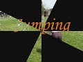 Sendy - Agility - Kyje - 31. 5. 2008