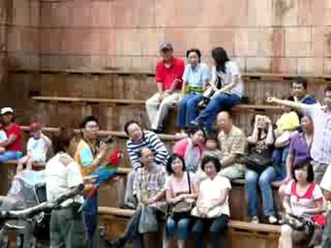 hong_kong-ocean_park-red_macaw.MOV