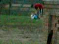 wetbacks crossing the fence wetbacks crossing the fence