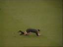 video divertenti - Calcio - L\