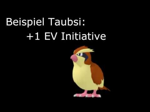 how to ev pokemon y