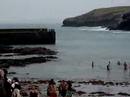 Xmas Swim Xmas Swim