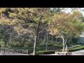 埼玉県富士巡り 20091031 02 雀川砂防ダム