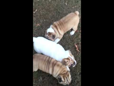 Running with the gang lol.