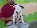 Vanna A4047962