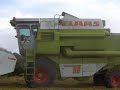 Claas Dominator 96 at work 1