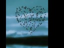 RECORDÁNDOTE AMOR(Rubén Domínguez)