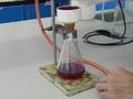 Filtration