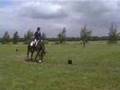 Concours Noordwolde