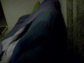 Me xap amb es crits de ses nines xDD sorden