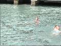 Swimming with dolphins / part 1