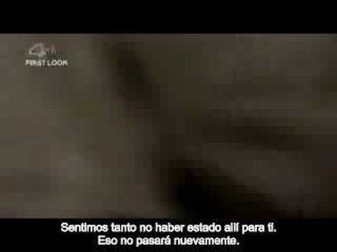 sugar rush sugar rush