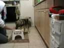 See Video
