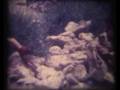 videos de Kupanje_u_Velikoj Mostini