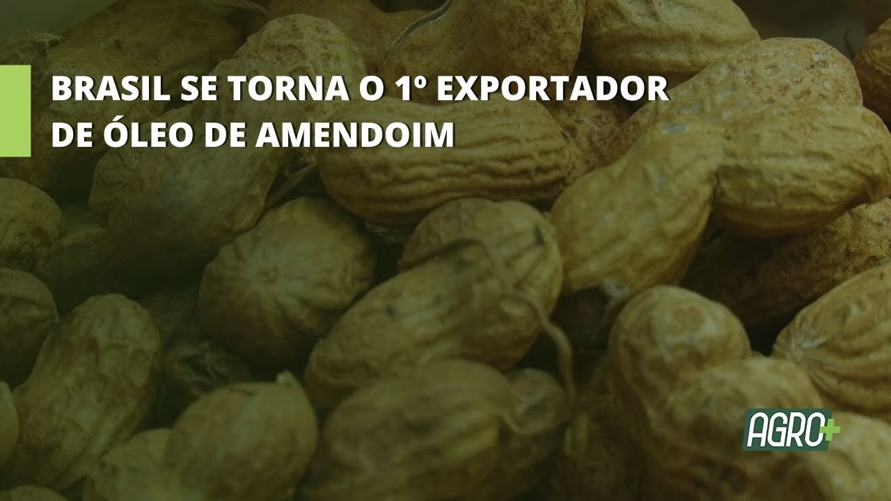 Brasil se torna 1º exportador de Óleo de Amendoim.