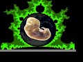 MIRACLE OF THE HEART MIRACLE OF THE HEART