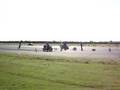 North weald drag racing ZXR 400 Vs CBR 400