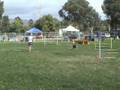 videos de Jack running NADAC Elite Chances with Helen