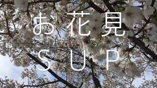 お花見SUP動画