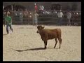 piruetas toros aldeaquemada piruetas toros aldeaquemada