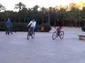 Turistas del Turia