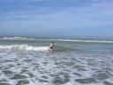 baignade a quend plage
