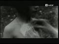 videos de Los niños del franquismo.