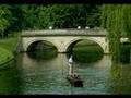 A-Texan-in-England-C