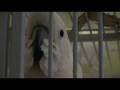 videos de hd2.mp4