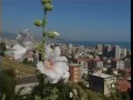 Atakum Belediyesi - Tanıtım (Tgrt)