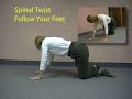 Chiro  Spinal Twist