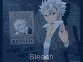Bleach Hashir style