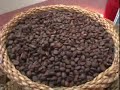 Colima, estado de exportacion