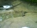 jump goes wrong