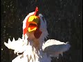 Shake a Tail Feather! Shake a Tail Feather!