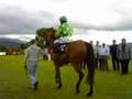Total Excitment In Killarney video