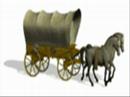 Stop Horse  Abuse