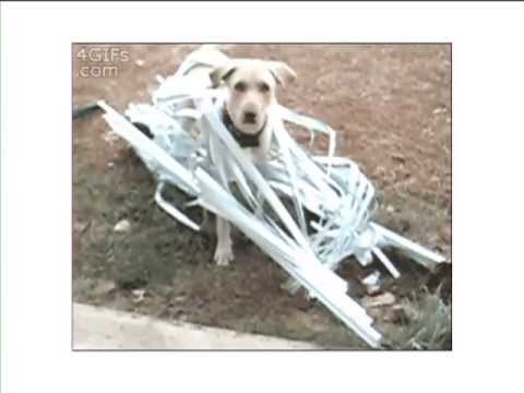 how to define placeholder in css