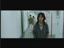 Love Phobia Trailer