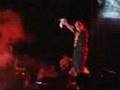 Concierto-Daddy-Yank