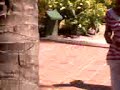 animacion palace higuey