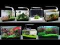 12 X 6 X 8 Aquarium