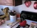 (AREPAS I) Radical Cooking-Papa Neil & Lucy the Pup (AREPAS I) Radical Cooking-Papa Neil & Lucy the Pup